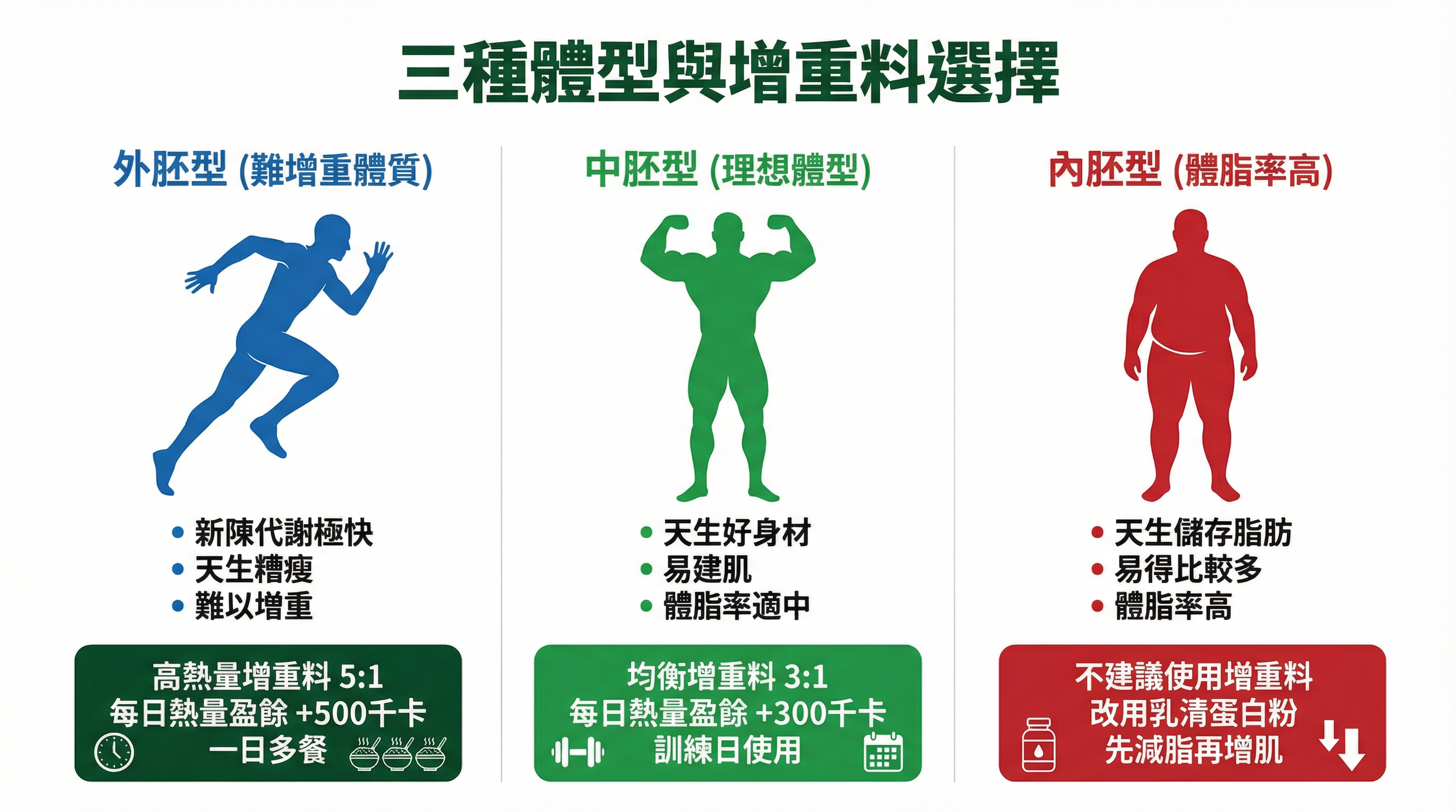 對比圖：外胚型、中胚型和內胚型三種運動員體型，以及各體型推薦的增重粉類型