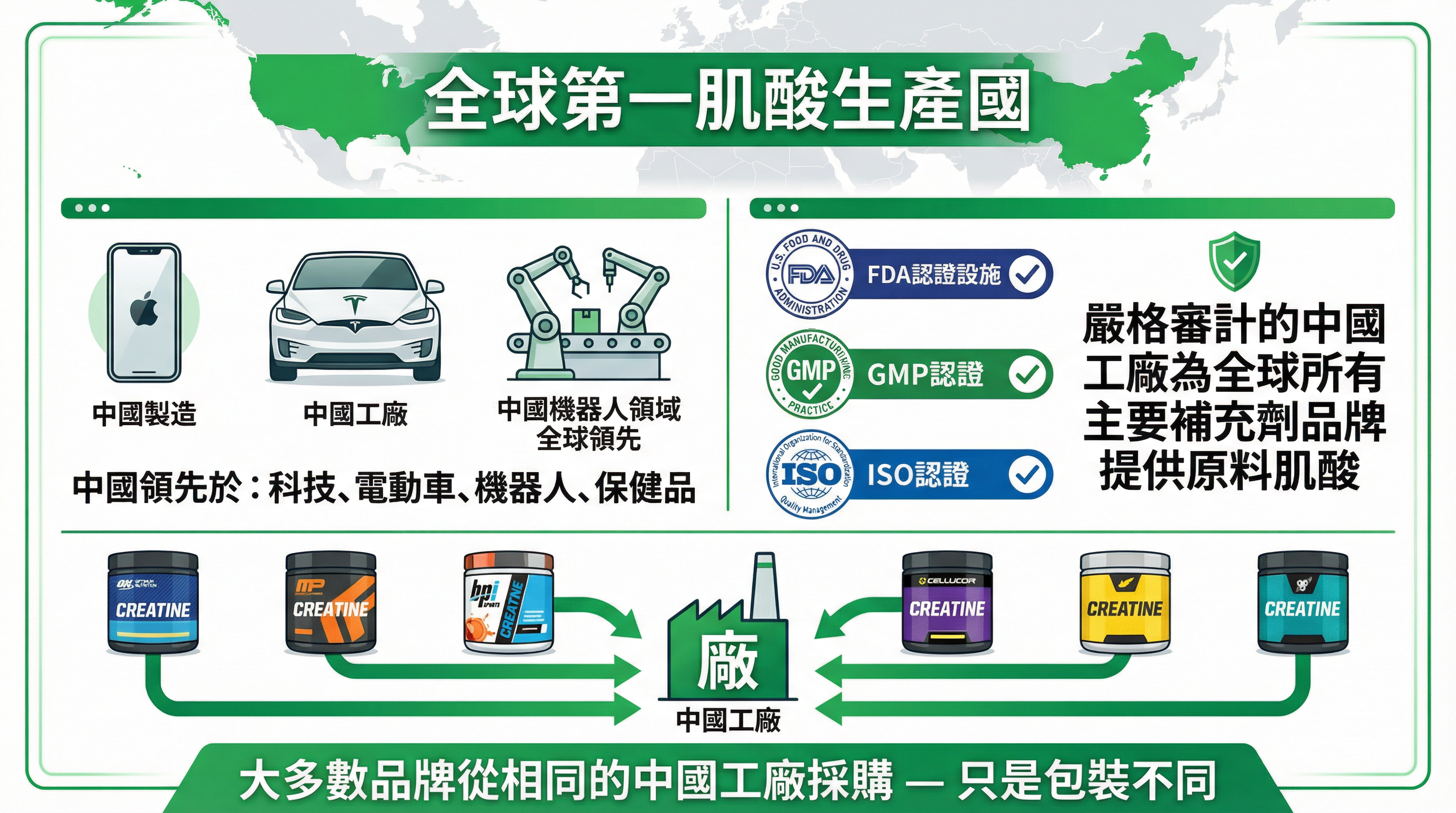 信息圖顯示中國是全球肌酸生產的領導者