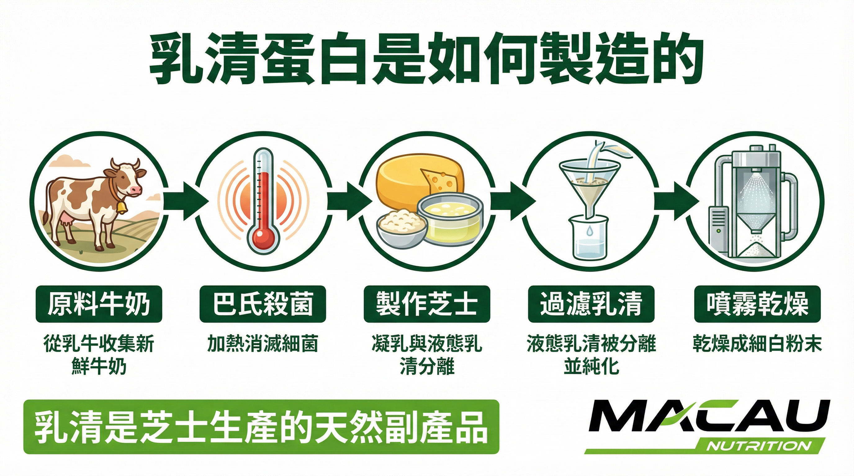乳清蛋白是如何製造的